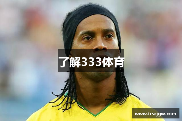了解333体育